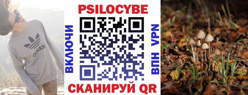 закладка  Томск  Псилоцибиновые грибы Magic Shrooms 