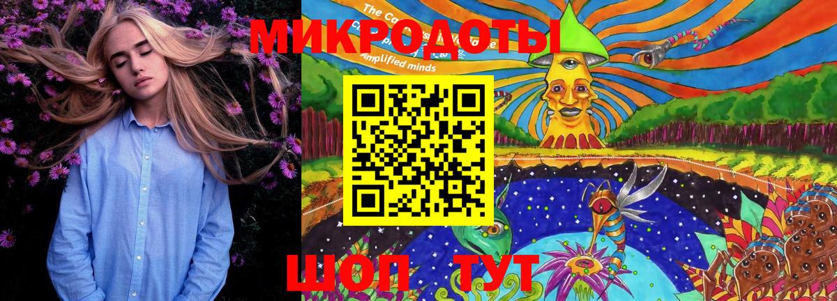 Псилоцибиновые грибы MAGIC MUSHROOMS  Вход с VPN  Томск  Галлюциногенные грибы Cubensis 
